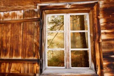 Fotobehang Bos Herfst in het houten raam
