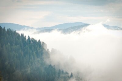 Fotobehang Bos in de bergen en wolken