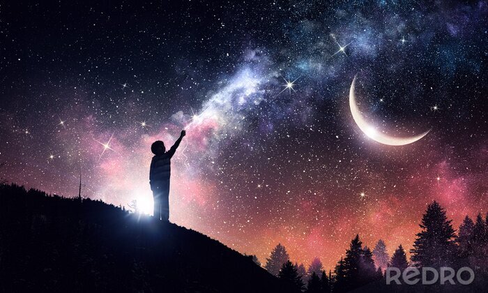 Fotobehang Bos met sterren aan de nachtelijke hemel