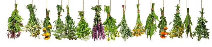 Fotobehang Bosjes kleurrijke verse kruiden op een witte achtergrond