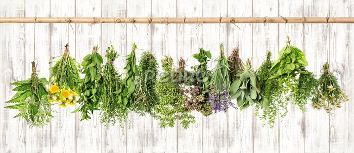 Fotobehang Bosjes verse kruiden op een houten achtergrond