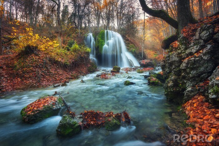Fotobehang Boswaterval in de herfst
