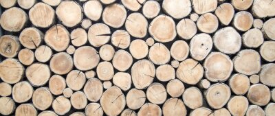 Fotobehang Brandhout droogt buiten