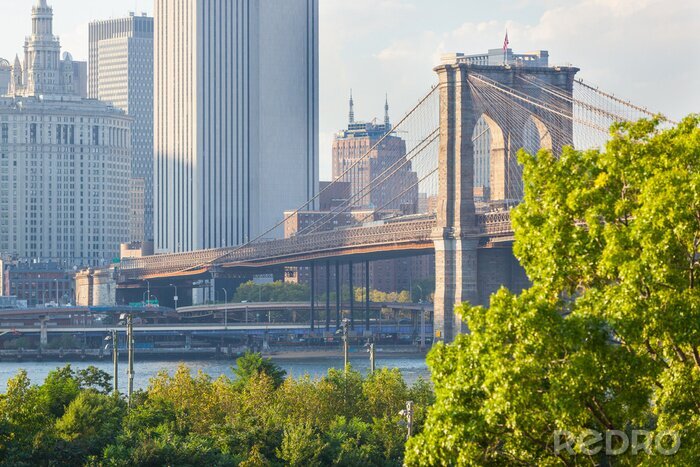 Fotobehang Brooklyn Bridge achter de bomen