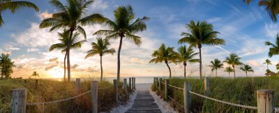 Brug en palmbomen in Florida