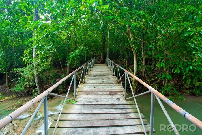 Fotobehang Brug in het midden van een regenwoud