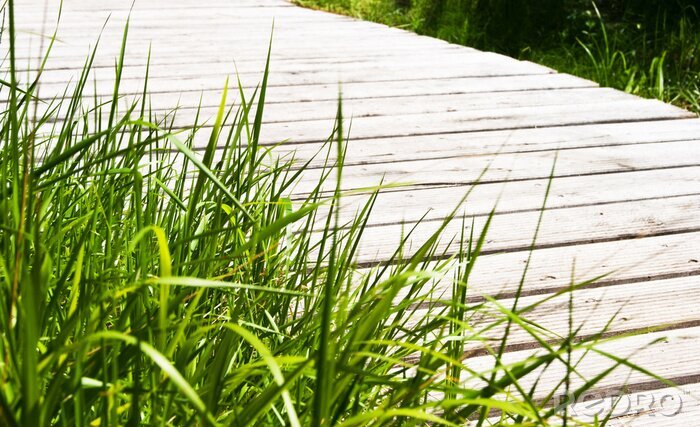 Fotobehang Brug omringd door gras