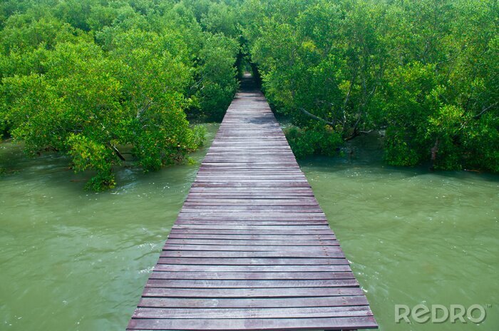 Fotobehang Brug op een groene achtergrond