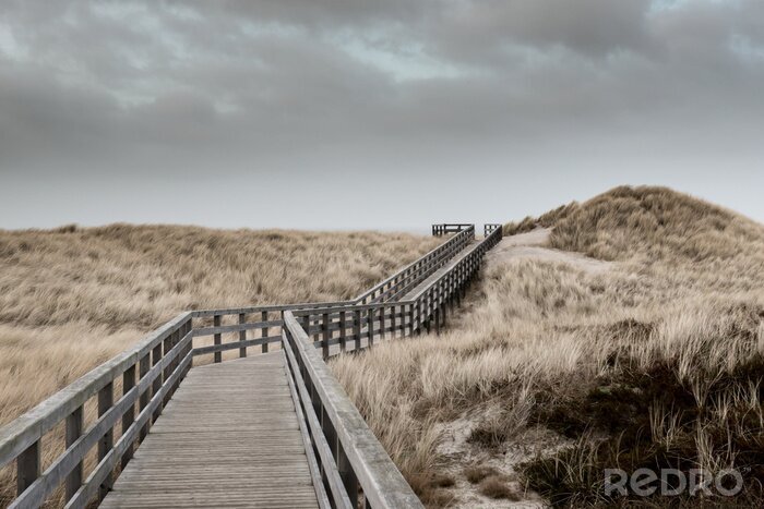 Fotobehang Brug over de duinen