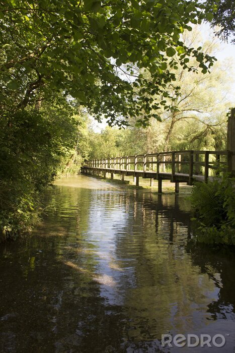 Fotobehang Brug over een meer in een bos