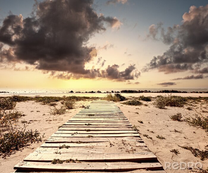 Fotobehang Brug over zandduinen