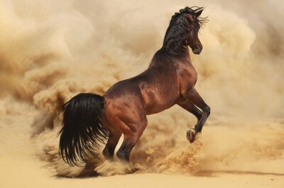 Fotobehang Bruin paard in bruin stof