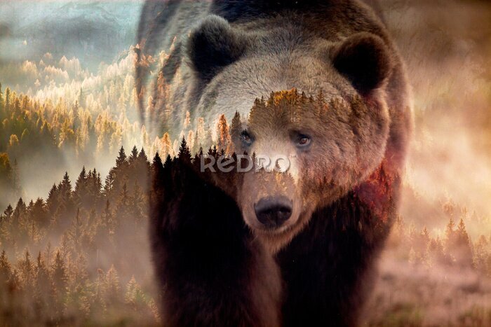 Fotobehang Bruine beer en boslandschap