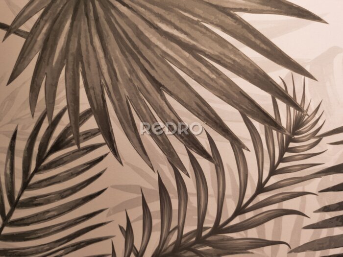 Fotobehang Bruine palmbladeren