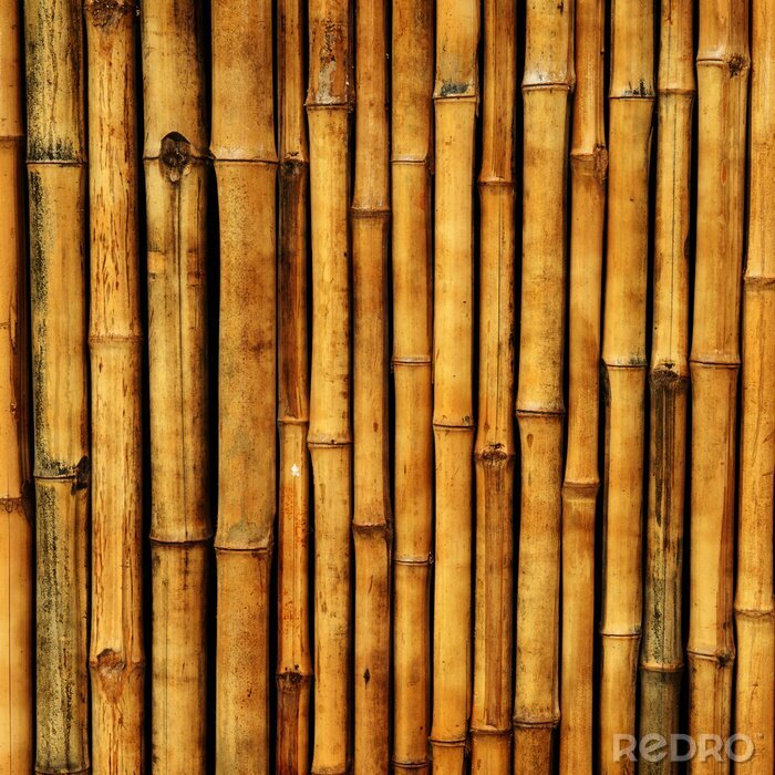 Fotobehang Bruine stengels van bamboe