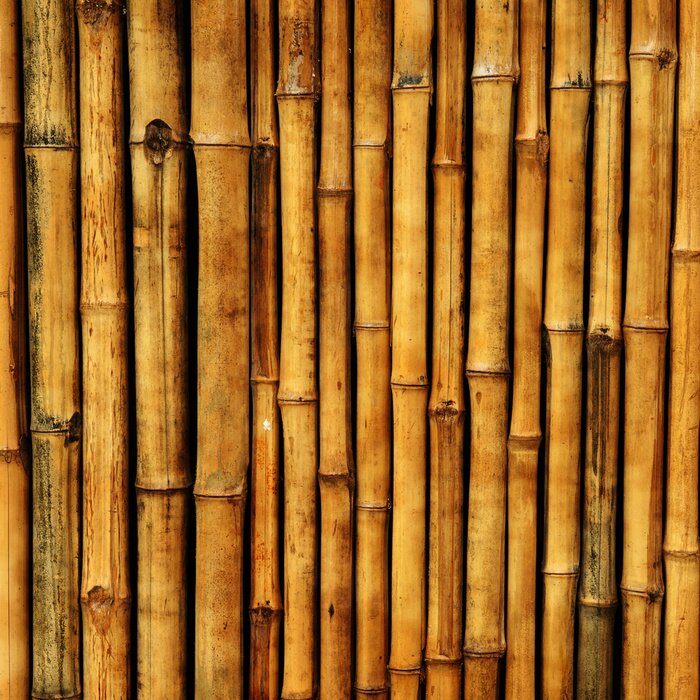 Fotobehang Bruine stengels van bamboe