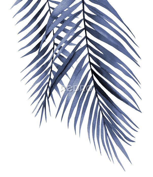 Fotobehang Bungelend blauw palmblad