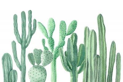 Fotobehang Cactusplanten geschilderd met waterverf