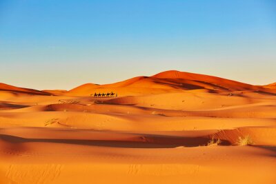 Fotobehang Camel caravan in Sahara desert
