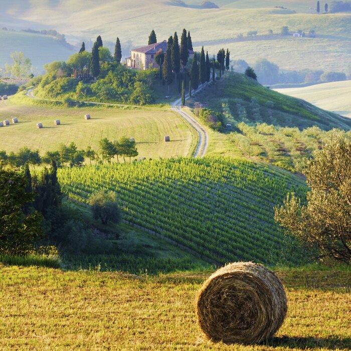 Fotobehang campagna Toscana, Italia