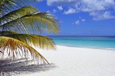 Fotobehang Caribisch strand