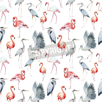 Fotobehang Cartoon kraanvogels en flamingo's