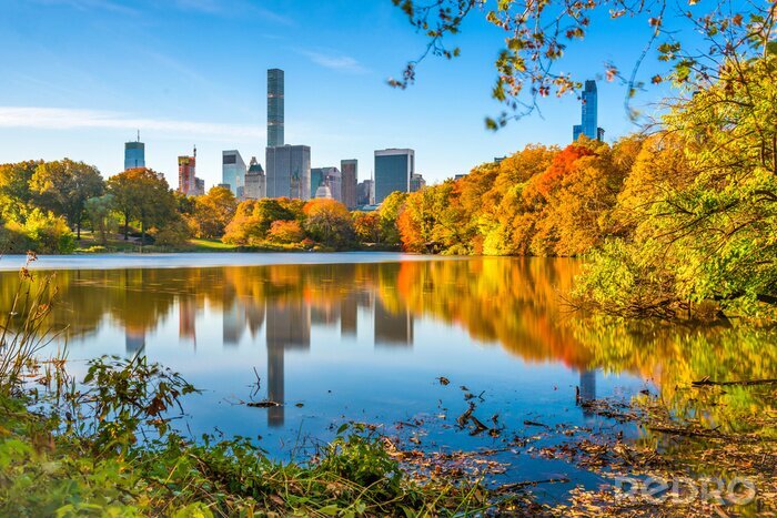 Fotobehang Central Park during autumn in New York City.