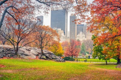 Central Park op regenachtige dag, New York City, Verenigde Staten