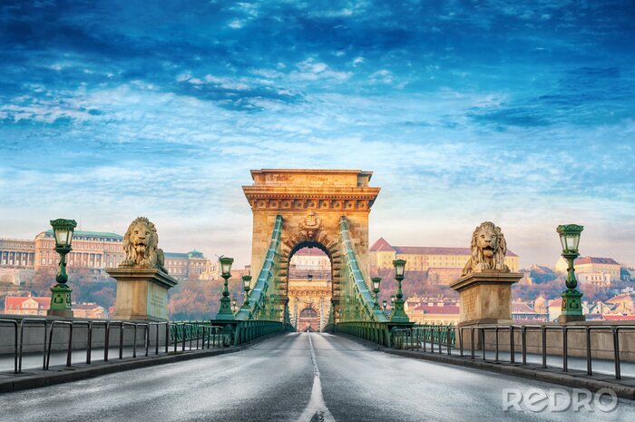 Fotobehang Chain bridge Budapest Hungary