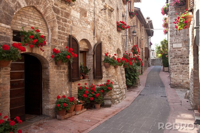 Fotobehang Charmante straatjes met rode bloemen