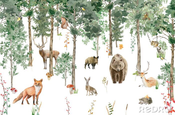 Fotobehang Children's wallpaper. Watercolor forest with animals.