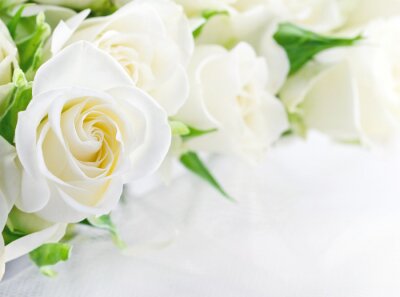 Fotobehang Close-up boeket van witte rozen