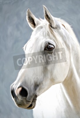 Fotobehang Close-up van het bruine oog van het paard