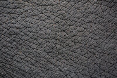 Fotobehang Close-up van olifantenhuid