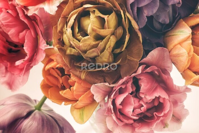 Fotobehang Colorful tulips in vintage style