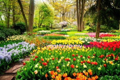 Fotobehang Colourful Tulips Flowerbeds and Path in an Spring Formal Garden, retro toned