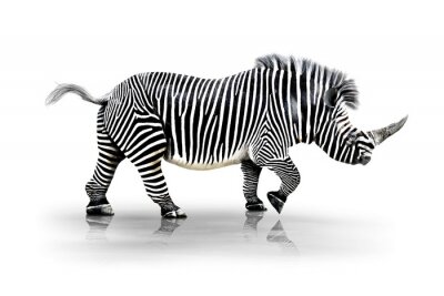 Fotobehang Combinatie van een zebra en een neushoorn