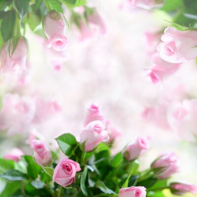 Fotobehang Compositie van roze snijrozen