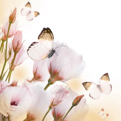 Fotobehang Compositie van rozen en vlinders