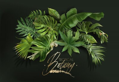 Fotobehang Compositie van tropische planten