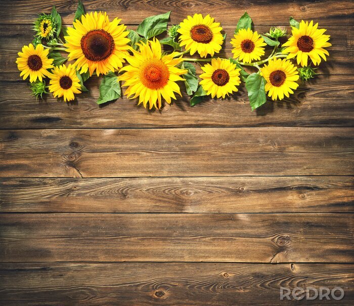 Fotobehang Compositie van zonnebloemen op hout