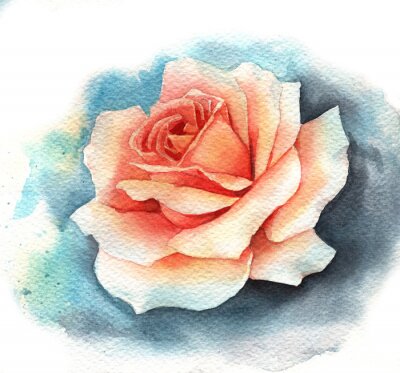 Fotobehang Crèmekleurige roos geschilderd in aquarel