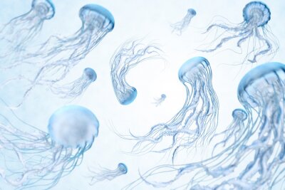 Fotobehang Dansende kwallen op een lichte achtergrond