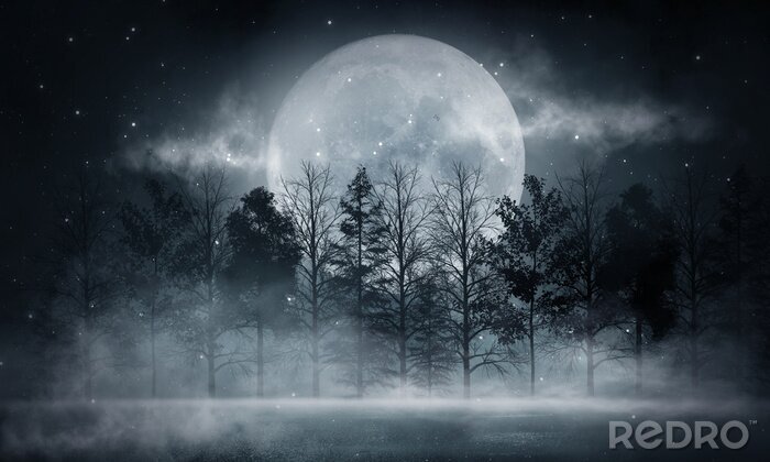 Fotobehang Dark forest. Gloomy dark scene with trees, big moon, moonlight. Smoke, shadow. Abstract dark, cold street background. Night view.