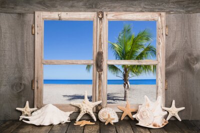 Fotobehang Das Haus am Meer mit Palmen und blauem Himmel