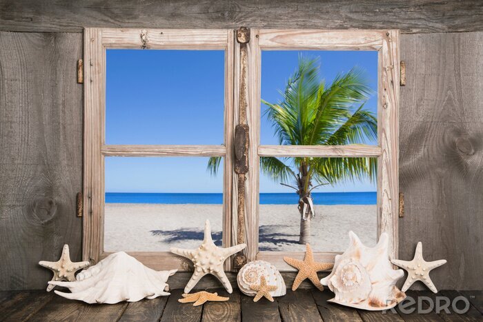 Fotobehang Das Haus am Meer mit Palmen und blauem Himmel