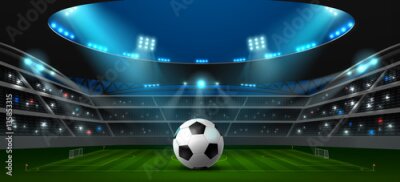 Fotobehang De bal op het stadionveld
