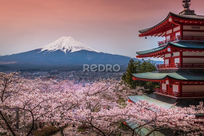 Fotobehang De berg Fuji in Japan