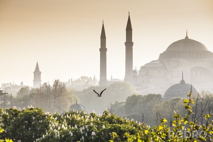 Fotobehang De Blauwe Moskee in Istanboel in de ochtend