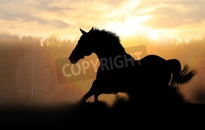 Fotobehang De figuur van een paard in de ondergaande hemel
